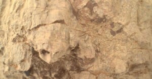 Close-up view of a textured, light brown rock surface with rough, uneven features and visible cracks and crevices. The lighting highlights the varied natural patterns and irregularities in the stone.