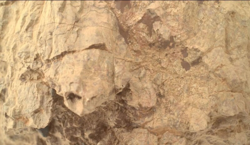 A close-up view of a rough, beige rock surface with visible cracks, crevices, and various textures. Some areas are smoother, while others appear jagged and uneven, highlighting the rock’s natural formations.