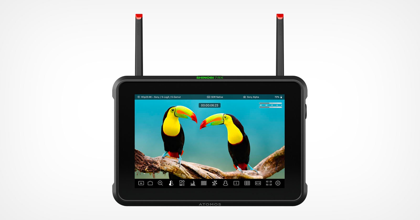 A black Atomos monitor with two antennas displays an image of two toucans with colorful beaks perched on a branch against a blue background.