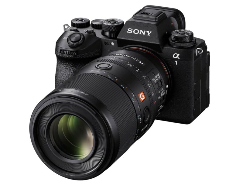 Sony's New 100mm f/2.8 Macro GM Is Its Best Macro Lens Ever