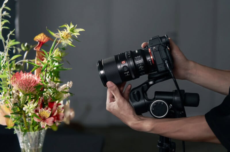 Una persona ajusta la cámara en un trípode, centrándose en ramos de coloridos de varias formas y sombras, listas para tomar fotos de primer plano en una configuración tenue.