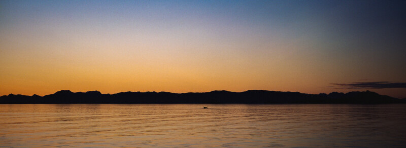 A serene sunset over calm water with distant dark mountains on the horizon; a lone bird flies above the water, silhouetted against the soft orange and blue gradient sky.