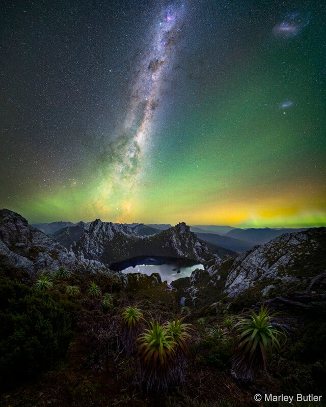 The Milky Way and green aurora light up the night sky over rugged mountains and a reflective lake, with spiky-leafed plants in the foreground. Photo credit: © Marley Butler.