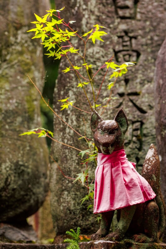 A stone fox statue wearing a pink cloth bib sits in front of weathered stone markers with Japanese inscriptions, surrounded by green leaves and moss.