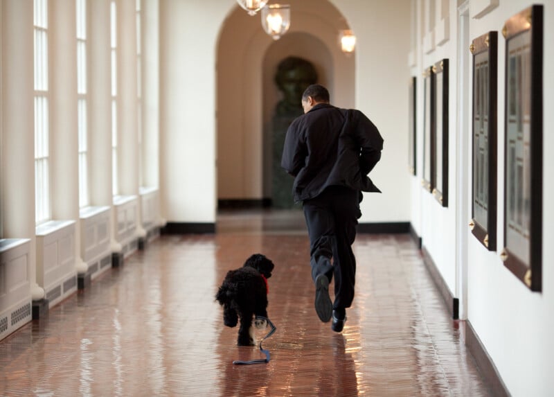 A man in a suit runs down a bright hallway with a black dog on a leash beside him. The hallway has large windows on one side and framed pictures on the walls.