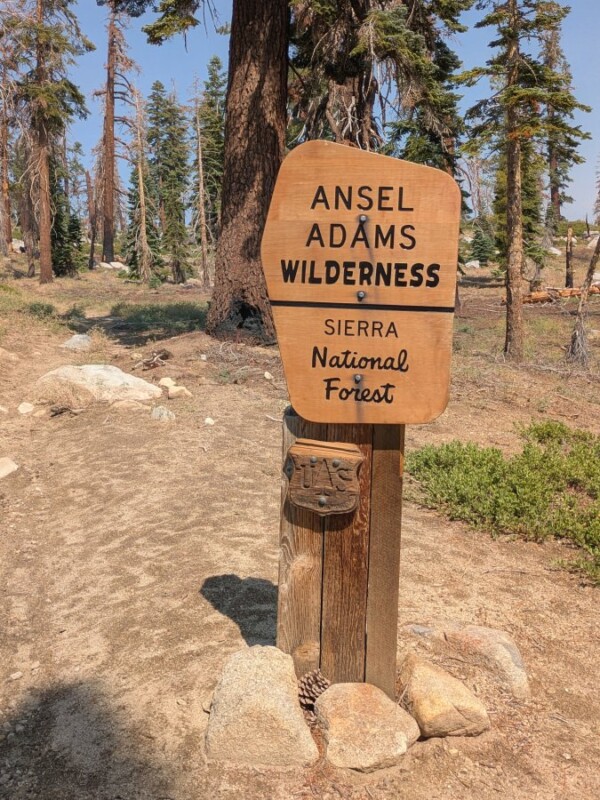 Un cartel de madera dice "Ansel Adams Wilderness, Bosque Nacional Sierra" Bajo un cielo despejado, rodeado de rocas, arbustos y altos pinos.