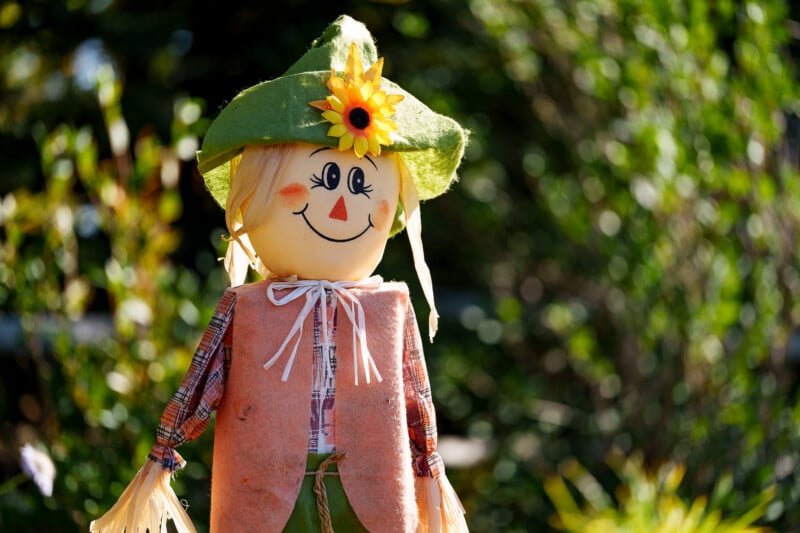 A cheerful scarecrow with a smiling face, wearing a green hat decorated with a yellow sunflower, stands outdoors in front of green foliage. The scarecrow has a pink vest and plaid shirt.
