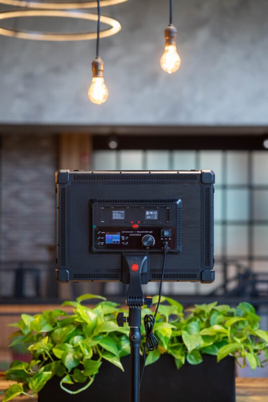 A professional studio light on a stand faces away from the camera, positioned in front of green potted plants. Two hanging light bulbs are illuminated above, with a blurred indoor background.