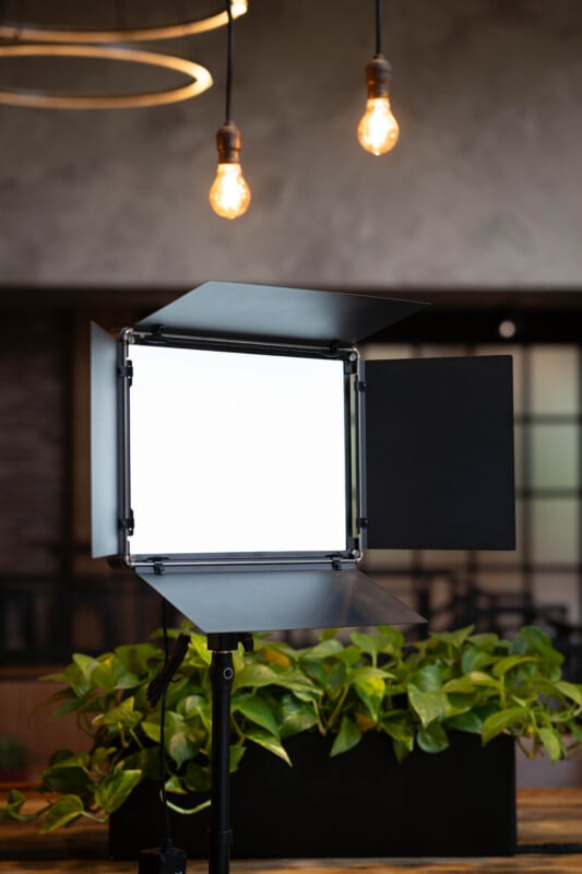 A professional studio light with barn doors is turned on in front of a planter with green foliage. Two exposed hanging light bulbs are glowing above in a modern, softly lit interior space.