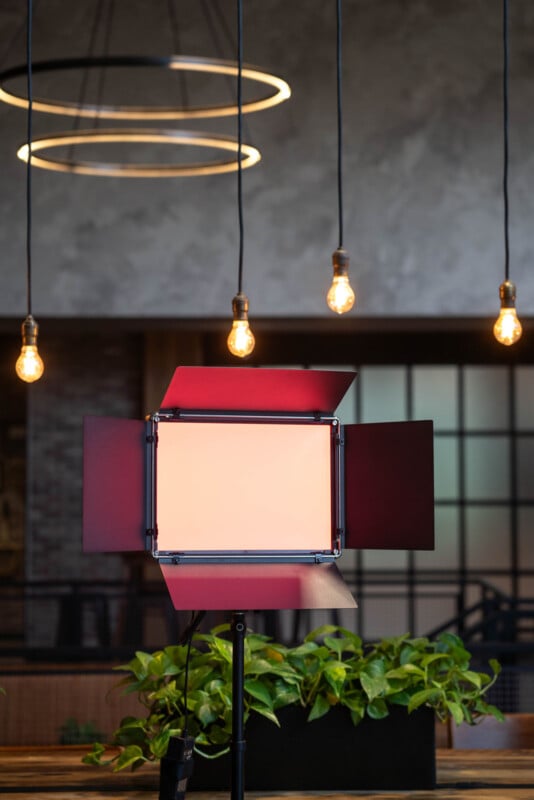 A studio light with barn doors stands in front of hanging lightbulbs and circular ceiling lights, with green plants and a blurred modern interior in the background.