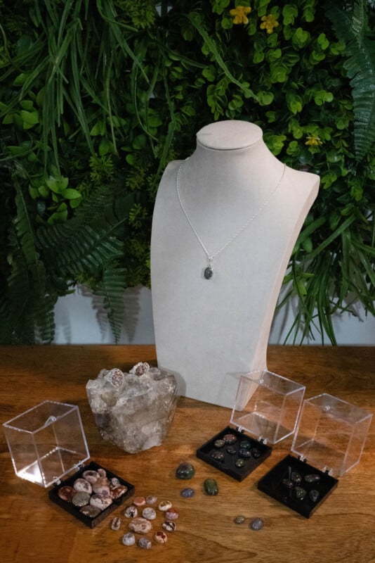 A display with a necklace on a beige bust, surrounded by mineral specimens, gemstones in trays, and clear display boxes, set on a wooden surface in front of a lush green plant wall.