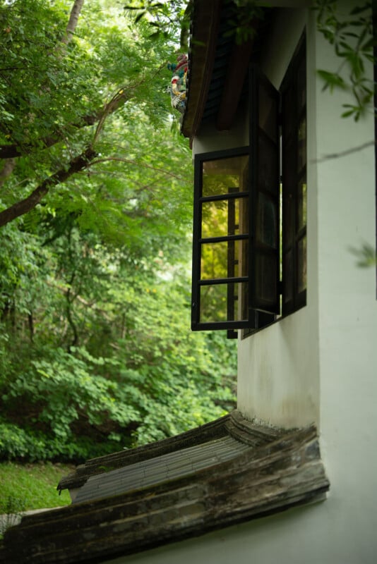 A traditional white building with open black-framed windows overlooks a lush green garden with dense trees. An old, curved tiled roof runs beneath the windows. Soft light filters through the foliage outside.