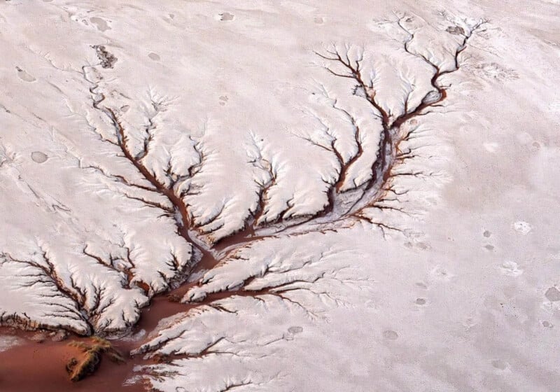 Aerial view of dry, branching stream channels etched into pale desert sand, resembling tree roots or veins, with reddish-brown sediment highlighting the water paths.