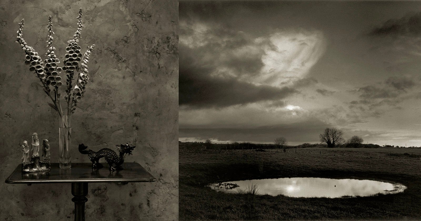 A black and white image split in two: on the left, a table with a vase of tall flowers, figurines, and a dragon sculpture; on the right, a rural landscape with a small pond, trees, and dramatic cloudy sky.