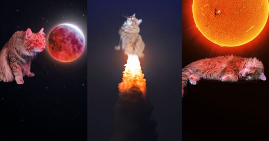 A three-panel image: left, a cat floats near a red planet in space; center, a cat launches upward on a rocket plume; right, a cat naps beneath a bright orange sun.