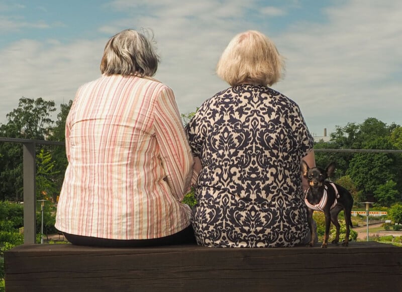 Two older women sit side by side on a wooden bench, seen from behind, with a small dog standing next to them. Trees and a partly cloudy sky are visible in the background.