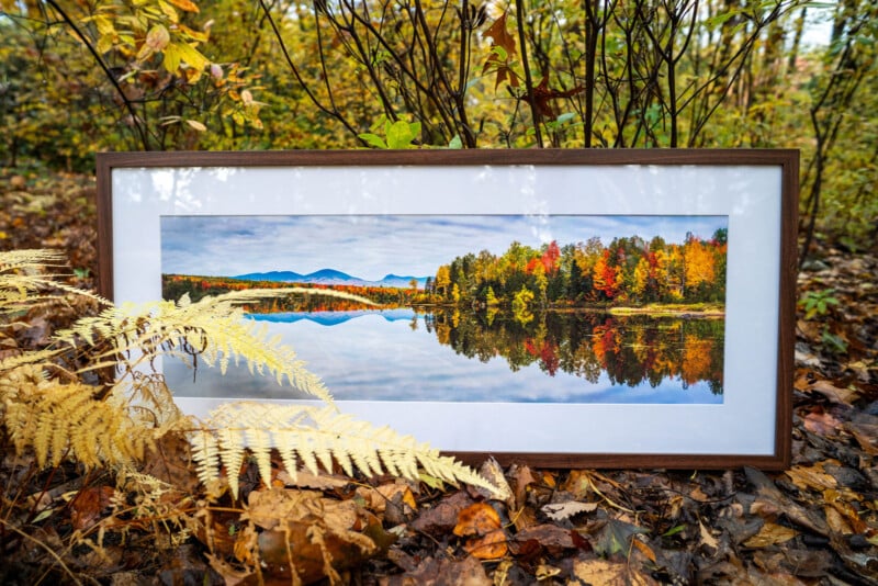A framed photo of autumn trees reflected in a lake rests on fallen leaves and ferns in a forest, blending with the vibrant fall foliage surrounding it.