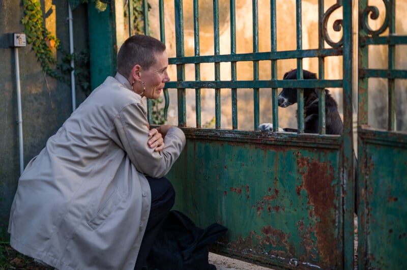 Un hombre con un abrigo ligero se agachó detrás de una puerta de metal verde oxidado, sonriendo a un perro blanco y negro, que puso sus patas en la puerta y miró hacia atrás.
