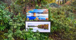 Two landscape photographs of a lake surrounded by autumn trees are displayed outdoors among dense green bushes and foliage. The upper photo has vibrant colors, while the framed lower photo shows a calm reflection.