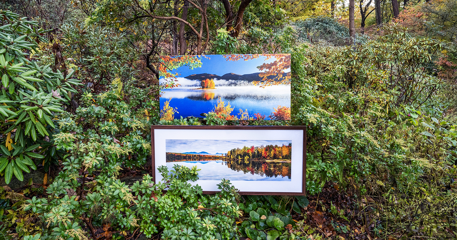 Embracing Autumn’s Fleeting Beauty to Boost Your Photography Sales With Lumaprints