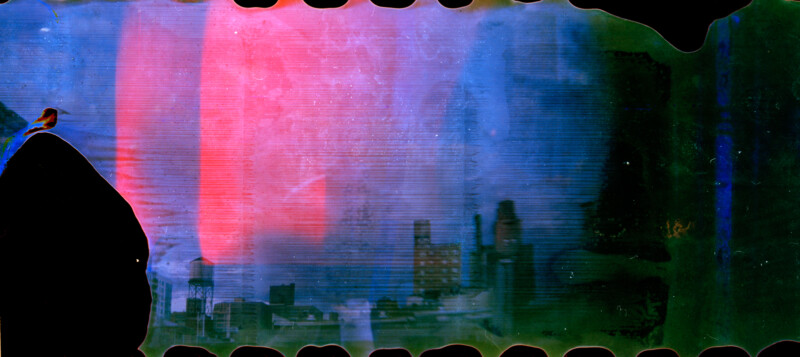 A small bird perches on a dark rock in the foreground, with a city skyline in the distance. The image has vibrant red, blue, and green hues with a textured, abstract overlay and uneven black borders.