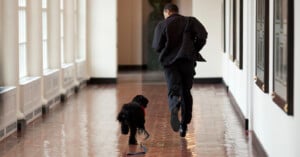 A man in a black suit runs down a shiny hallway next to a black and white dog on a leash. Large windows line one side of the corridor, and framed pictures hang on the opposite wall.