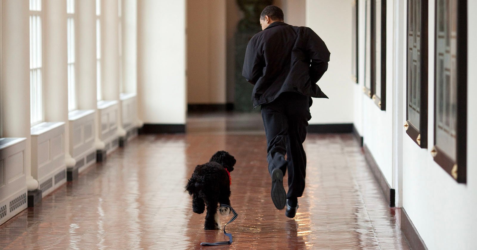 A man in a black suit runs down a shiny hallway next to a black and white dog on a leash. Large windows line one side of the corridor, and framed pictures hang on the opposite wall.