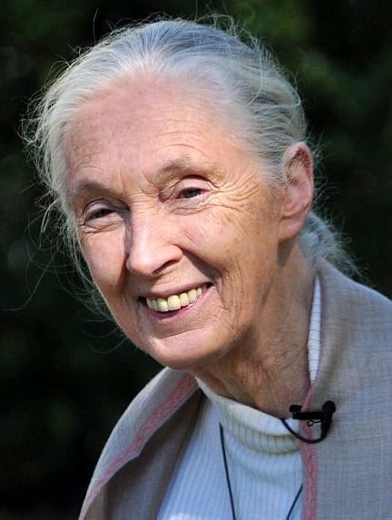 An elderly woman with long gray hair tied back smiles warmly. She is wearing a light-colored jacket and a white top, with a microphone clipped to her collar. The background is blurred greenery.