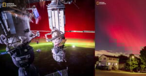 Split image: Left side shows the International Space Station with vivid red and green auroras in the sky. Right side features bright red aurora lights above a residential neighborhood at night. Both images are branded National Geographic.