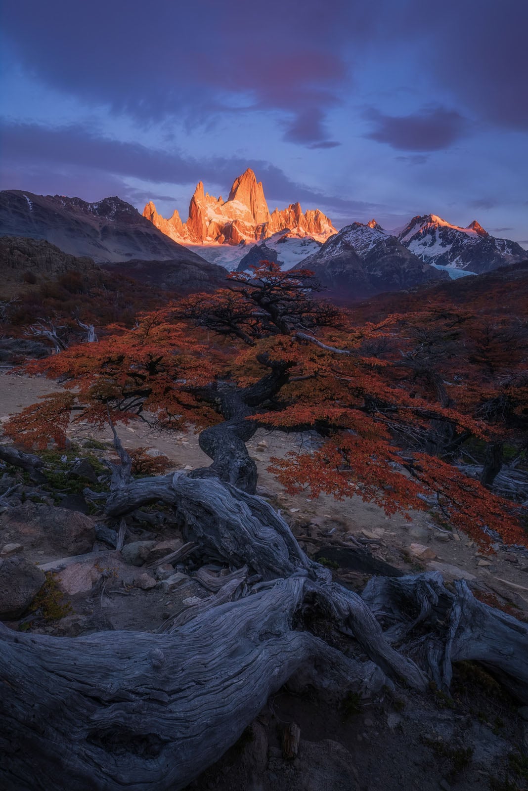 How a Photographer Turned His Love of Nature Into an Incredible Career ...