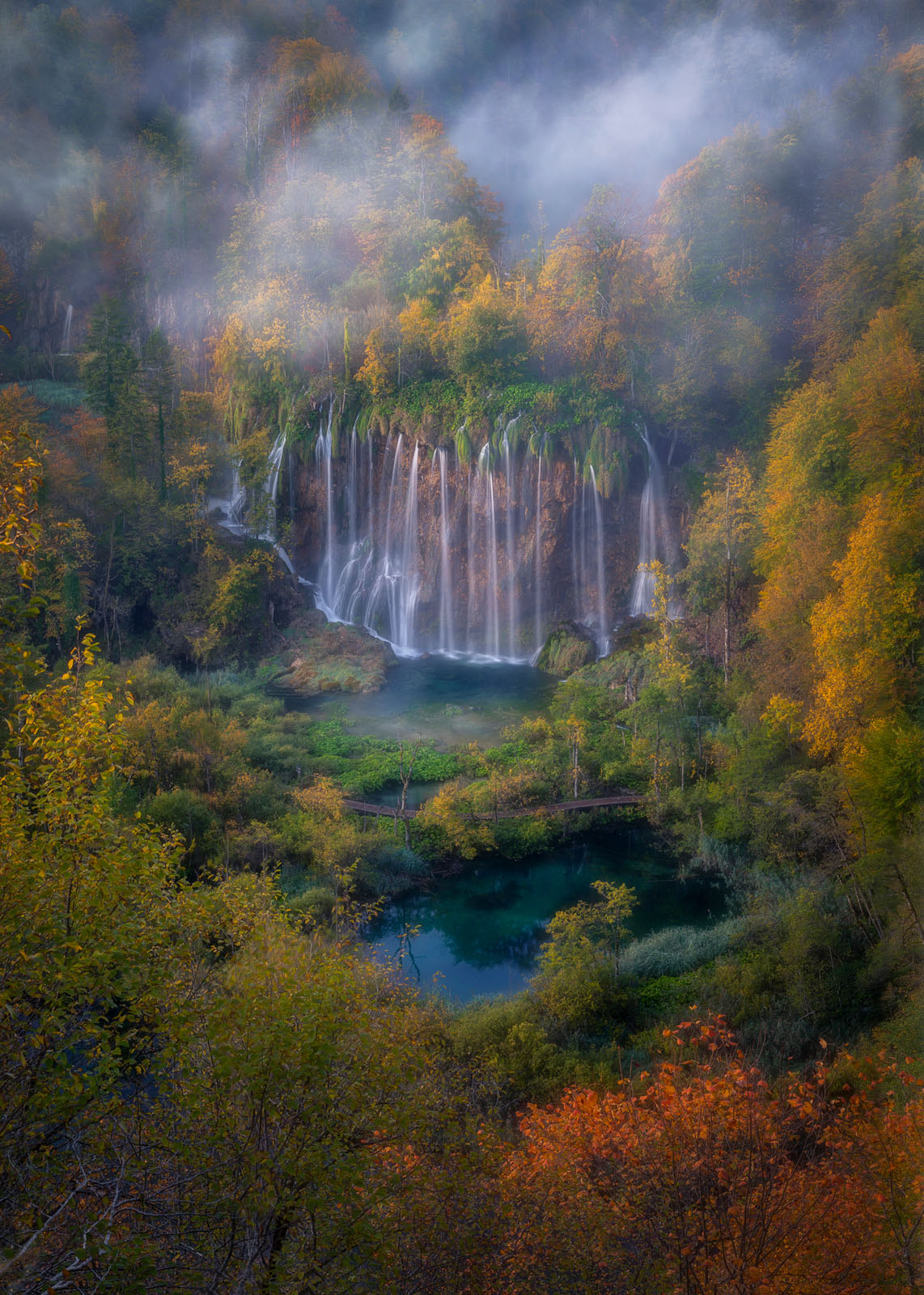 How a Photographer Turned His Love of Nature Into an Incredible Career ...