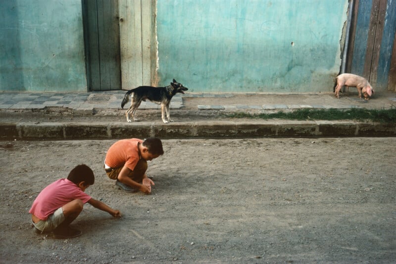 Two young boys draw on a dusty street with sticks, while a dog and a pig stand near a weathered blue wall in the background. The scene appears calm and captures a simple moment.