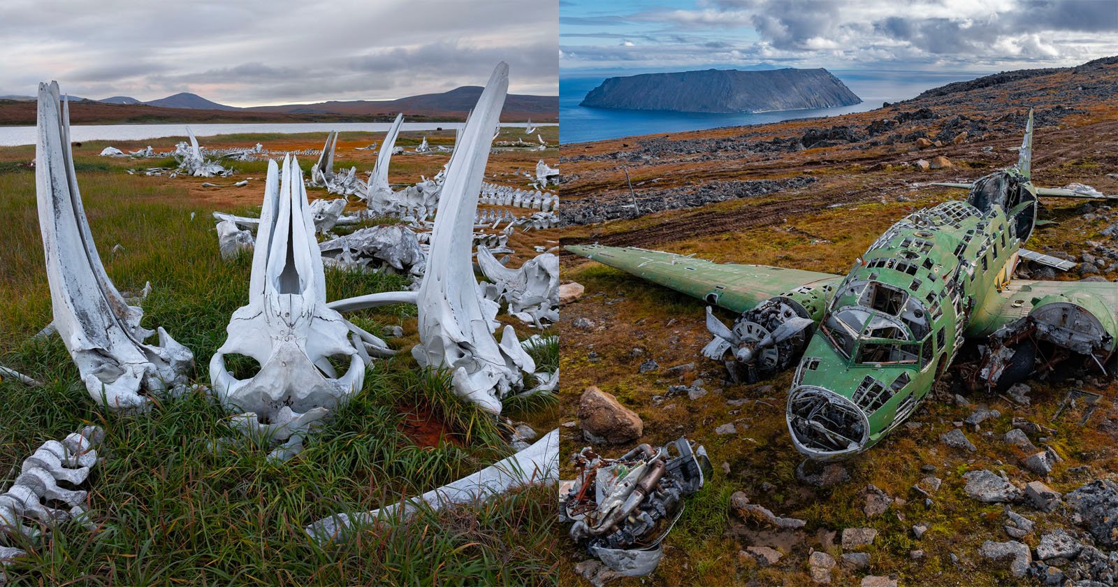 A split image shows large white whale skulls and bones scattered on grassland near water on the left, and an abandoned, weathered green aircraft wreck on rocky terrain by the sea on the right.