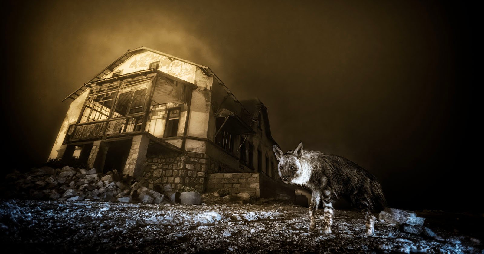 A hyena stands in front of a large, dilapidated house at night, surrounded by rubble, with an eerie yellow-orange glow in the sky creating a haunting atmosphere.