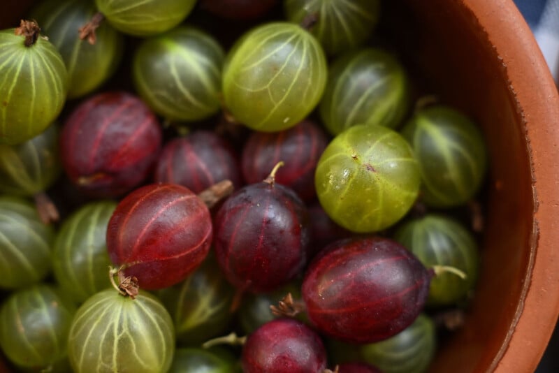 A close-up of a bowl filled with ripe gooseberries, displaying both red and green varieties with smooth, striped skin.