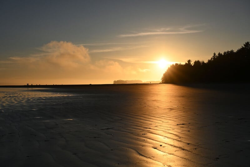The sun sets over a sandy beach, casting a golden glow on the wet sand. Silhouetted trees line the right side, with a few distant figures walking along the shoreline under a partly cloudy sky.