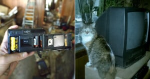 A split image: on the left, a hand holds an open film camera with a blurry background; on the right, a cat sits next to an old box-style TV, looking at the camera.