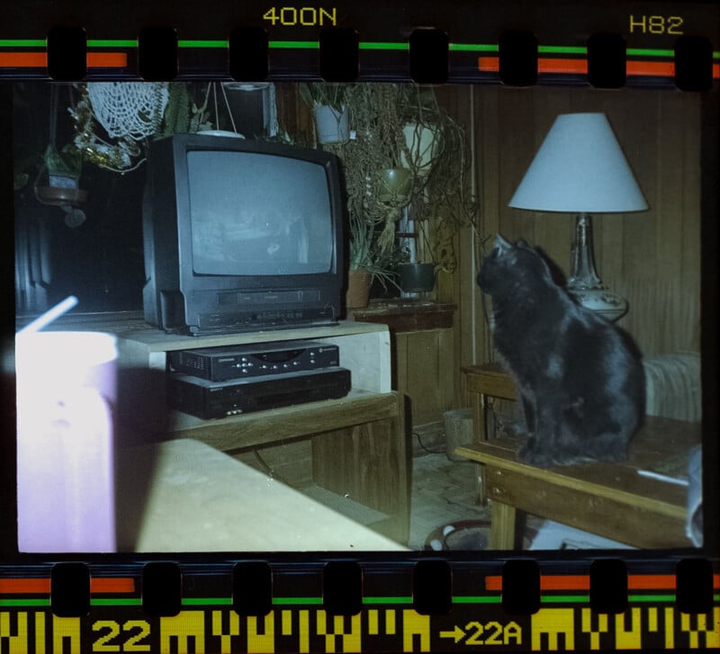 A black cat sits on a wooden table, looking up near an old box-style TV and a VCR. The room has plants, a lamp, and wood-paneled walls. The image appears as a film photograph with visible sprocket holes.