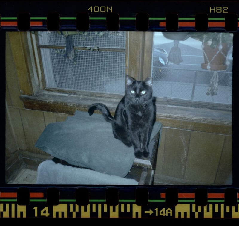 A black cat with glowing eyes sits on a blanket by a wooden window. Potted plants hang above, and a street with cars is visible outside. The image has a filmstrip border.