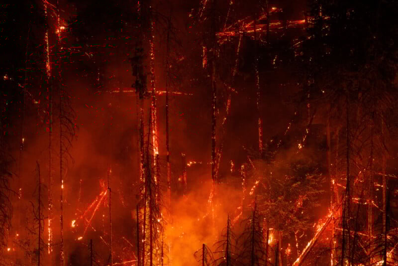 A forest is engulfed in intense flames at night, with burning trees and glowing embers illuminating the dark scene. Thick smoke rises among the charred trunks and branches.