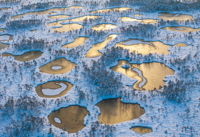 Aerial view of a snowy landscape dotted with numerous frozen, irregularly shaped ponds reflecting golden sunlight, surrounded by sparse trees and patches of snow.