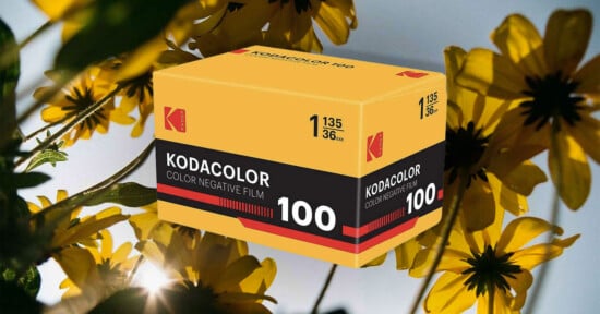 A yellow and black box of Kodacolor 100 color negative film floats in front of a backdrop of bright yellow flowers with sunlight streaming through the petals.