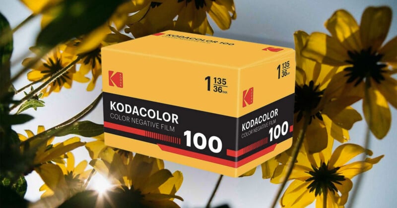 A yellow and black box of Kodacolor 100 color negative film floats in front of a backdrop of bright yellow flowers with sunlight streaming through the petals.