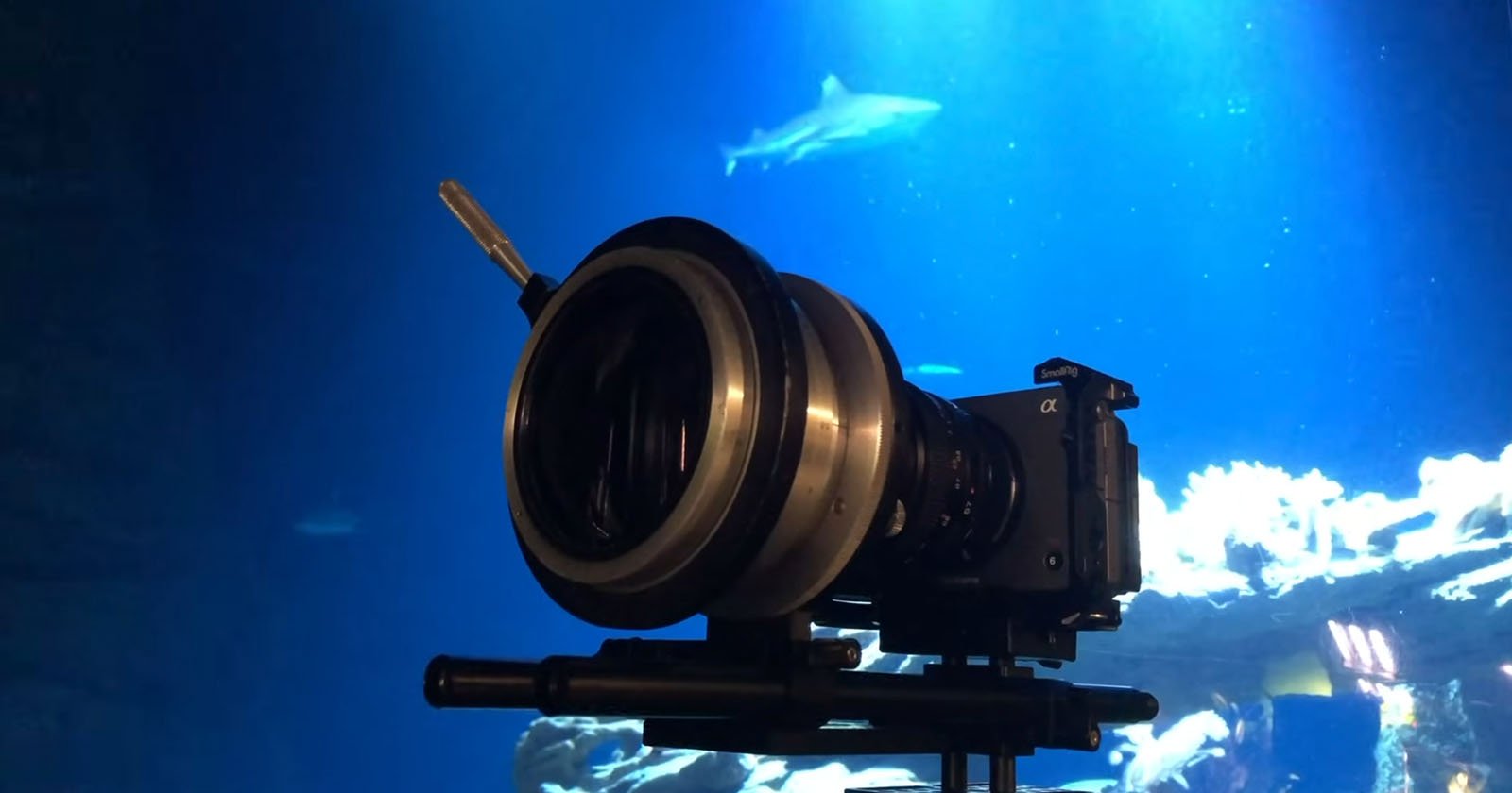 A camera mounted on a tripod is positioned in front of a large aquarium tank, with a shark and several fish swimming in the blue water background.