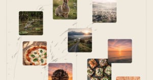A collage of square photos: a rabbit in grass, misty field, crocodile in water, mountain landscape, pizza, sunset over ocean, tree at sunset, gourmet appetizers, and close-up of citrus fruit slices.