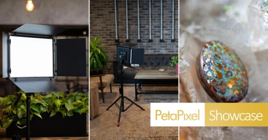 Collage with: a professional studio light above green plants, the same light set up in an industrial-style room, and a close-up of a decorated stone. “PetaPixel Showcase” text appears in the lower right corner.