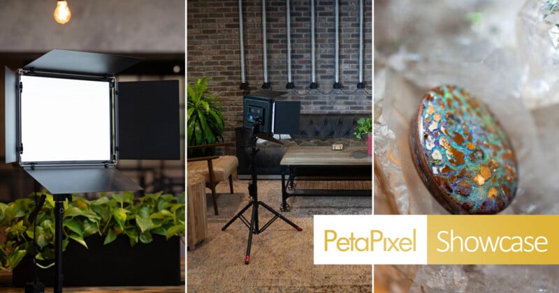 Collage with: a professional studio light above green plants, the same light set up in an industrial-style room, and a close-up of a decorated stone. “PetaPixel Showcase” text appears in the lower right corner.