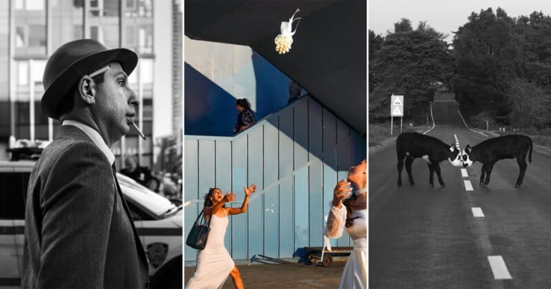 A collage of three photos: a man in a suit and hat in black and white, two women reaching for a thrown bouquet, and two donkeys standing face-to-face on a road with trees in the background.