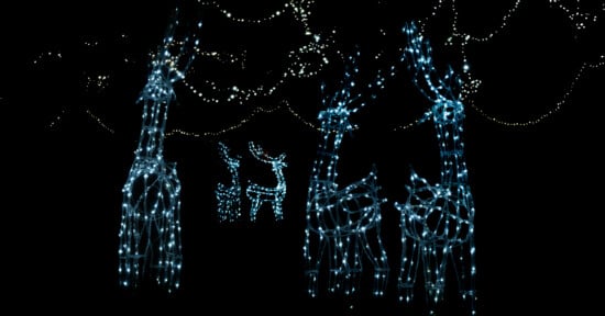 Four illuminated reindeer sculptures made of white holiday lights stand in the dark, with strings of small lights hanging above them, creating a festive nighttime scene.