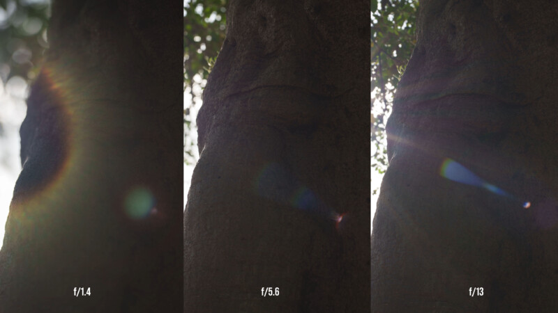 Tres fotografías, una al lado de la otra, del tronco de un árbol tomadas con diferentes aperturas (f/1,4, f/5,6, f/13), que muestran cómo el destello de la lente cambia de forma e intensidad con los ajustes de apertura.
